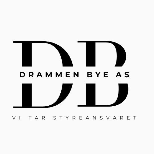 Styreansvar, styrebistand, ekstern styreleder, profesjonell styreleder